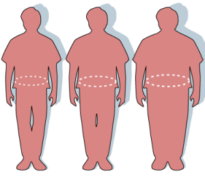 Reducir el peso para aumentar la salud cardiovascular Reducir el peso para aumentar la salud cardiovascular obesidad-abdominal