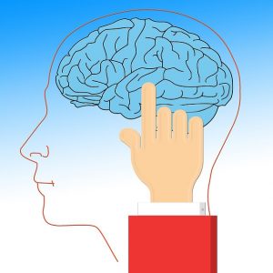 Trucos para controlar tu mente y no saltarte la dieta Trucos para controlar tu mente y no saltarte la dieta cerebro
